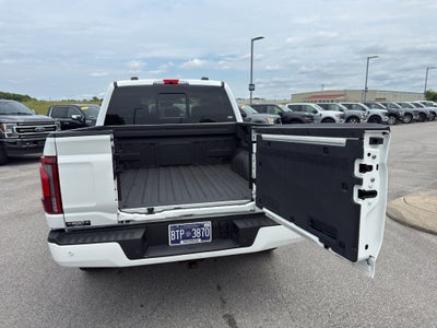 2025 Ford F-150 Platinum