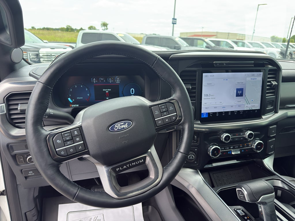 2025 Ford F-150 Platinum
